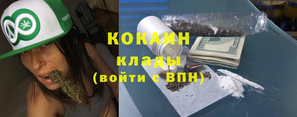дурь Каменка
