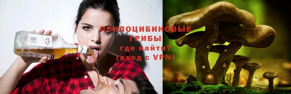 дурь Каменка