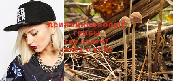 молекула духа Каменск-Шахтинский