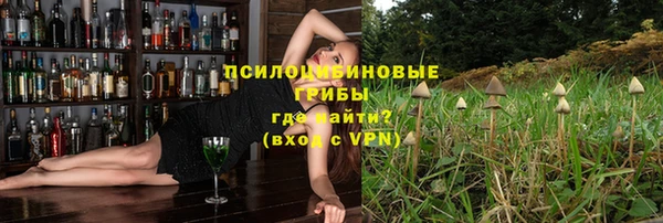 дурь Каменка