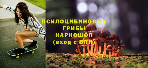стафф Каменногорск