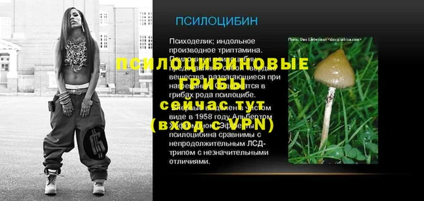 молекула духа Каменск-Шахтинский