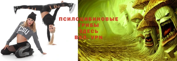молекула духа Каменск-Шахтинский