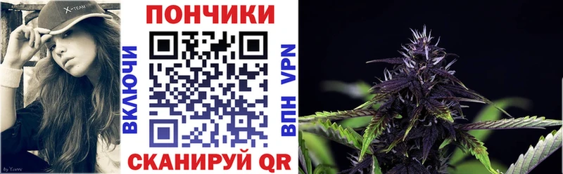 Конопля гибрид  Купить  Старица 